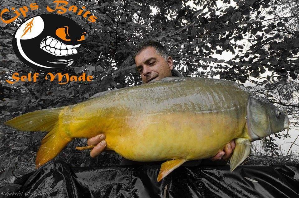 Carpfishing la modul meu 2015 - 1218776110517189615189664117662962772570962n.jpg